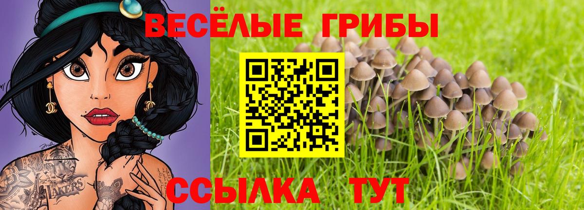 Псилоцибиновые грибы GOLDEN TEACHER  Вход с VPN  как найти закладки  Серпухов  Псилоцибиновые грибы Magic Shrooms 